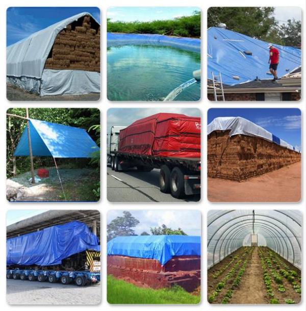 篷布：守護您的世界，從細節開始